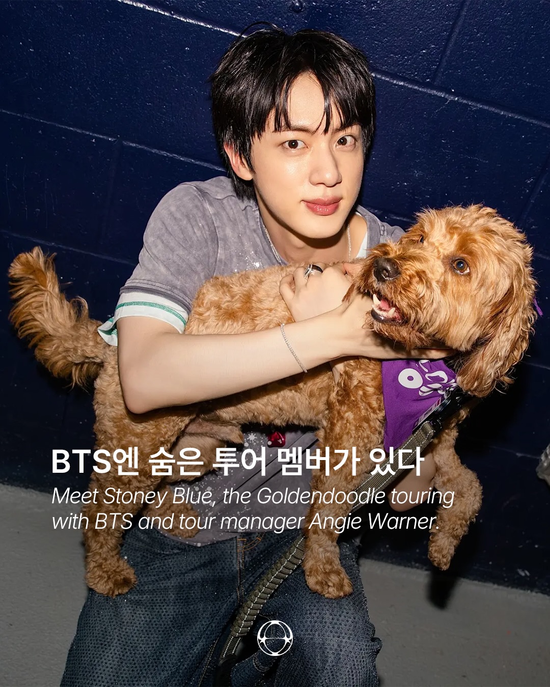BTS와 5년째 투어 중인 골든두들, 스토니 블루 — Cover