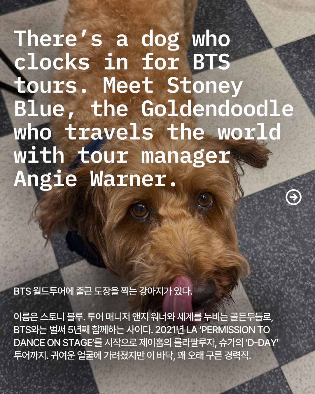 BTS와 5년째 투어 중인 골든두들, 스토니 블루 — Look 2