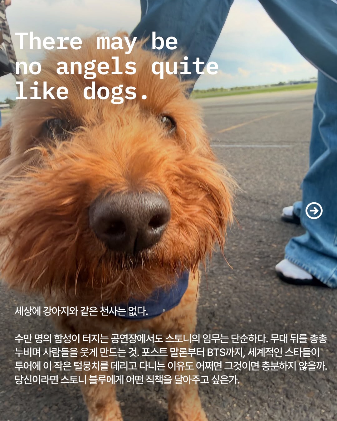 BTS와 5년째 투어 중인 골든두들, 스토니 블루 — Look 5