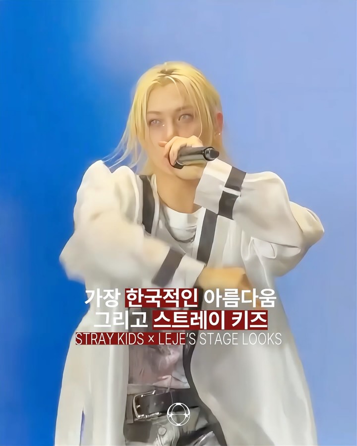 스트레이 키즈와 학의 날개짓 — Cover