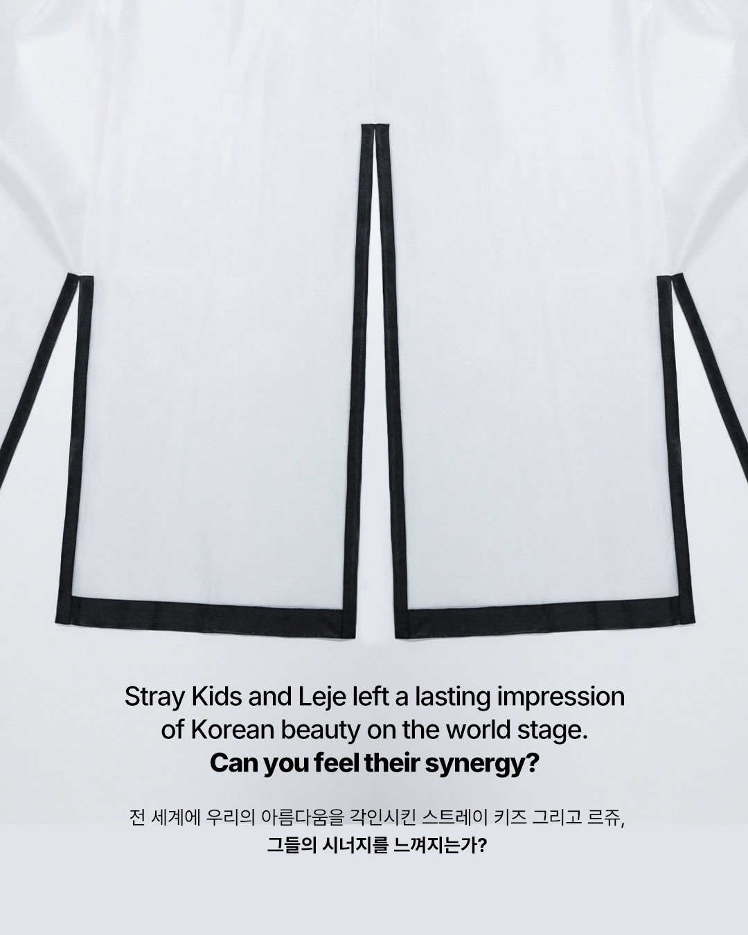 스트레이 키즈와 학의 날개짓 — stray kids, Look 6