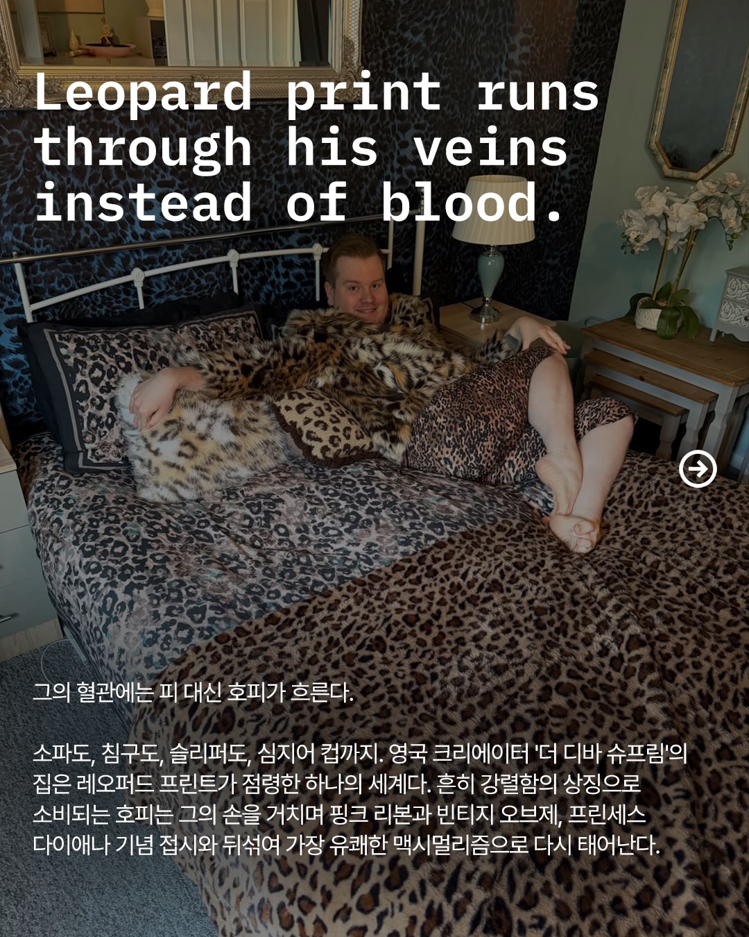 호피로 완성한 맥시멀리즘, 그의 집은 자기애의 기록 — Look 2