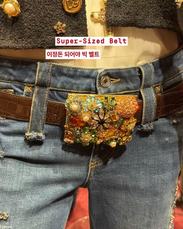 할머니의 브로치가 모아둔 무드의 룩북 — dolce-and-gabbana, Look 6