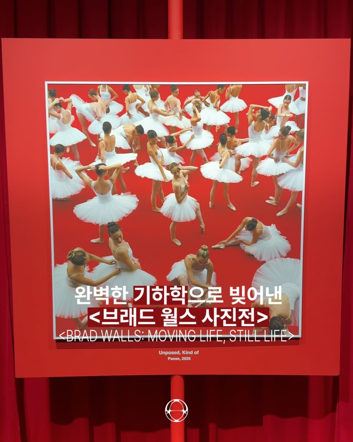 브래드 월스, 발레리나를 수학으로 번역하다 — Cover