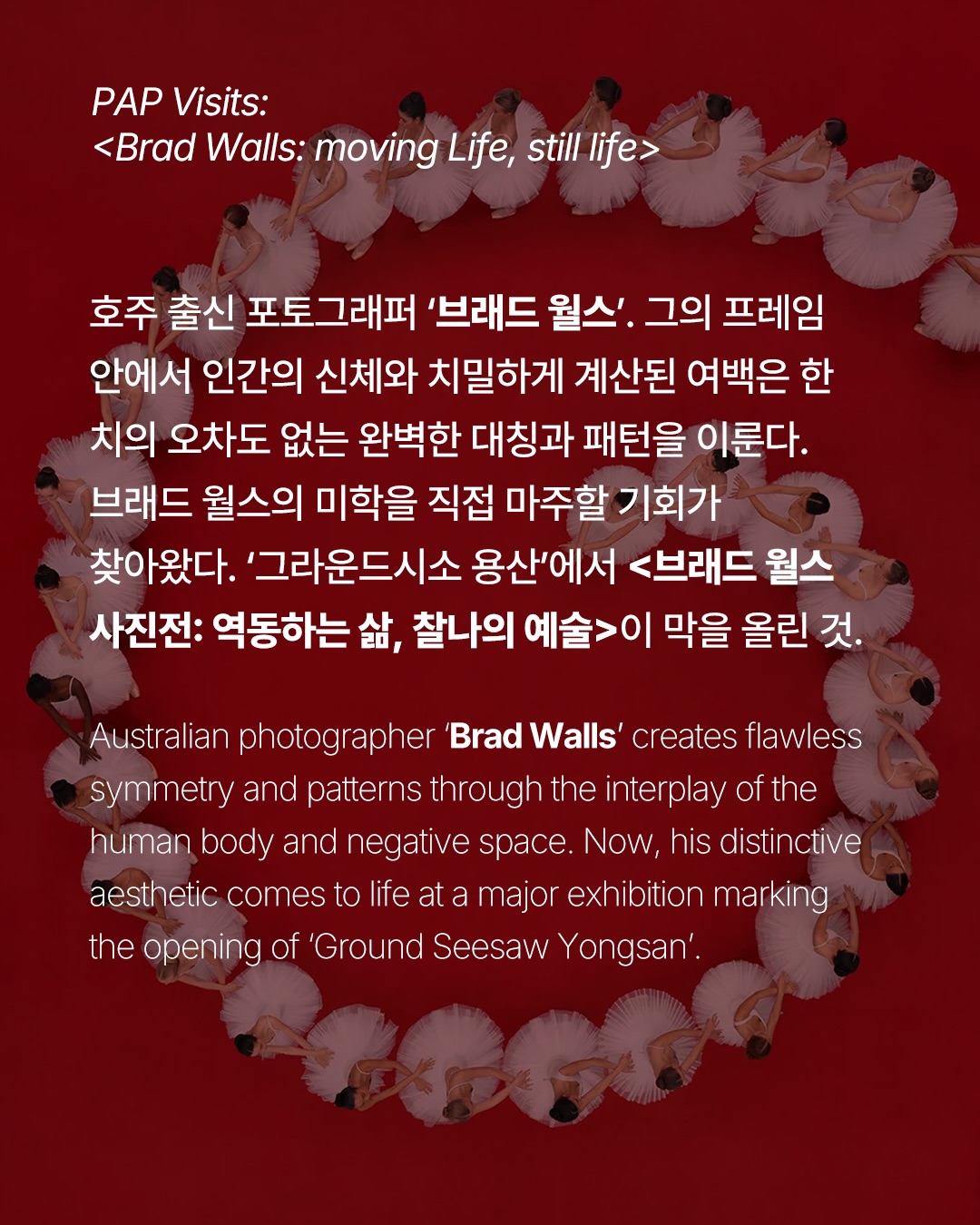 브래드 월스, 발레리나를 수학으로 번역하다 — brad walls, Look 2
