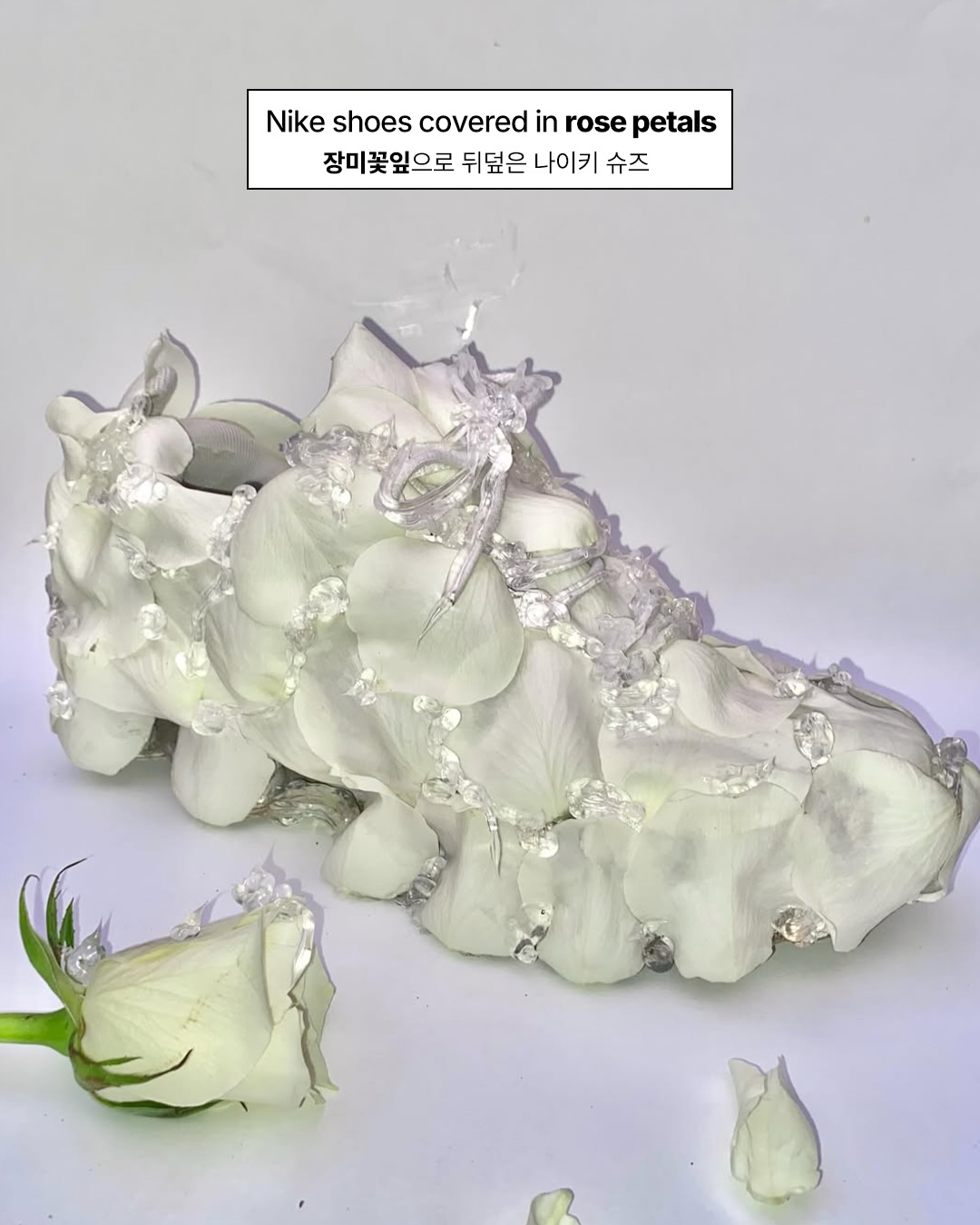 재료의 한계란 존재하지 않는다 — mia wanaka brimilcombe, Look 4