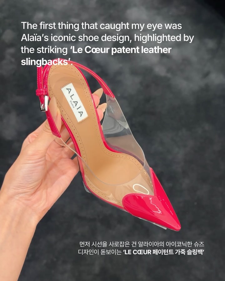 알라이아 갤러리아 압구정점, 새 단장 마치고 재오픈 — Look 4