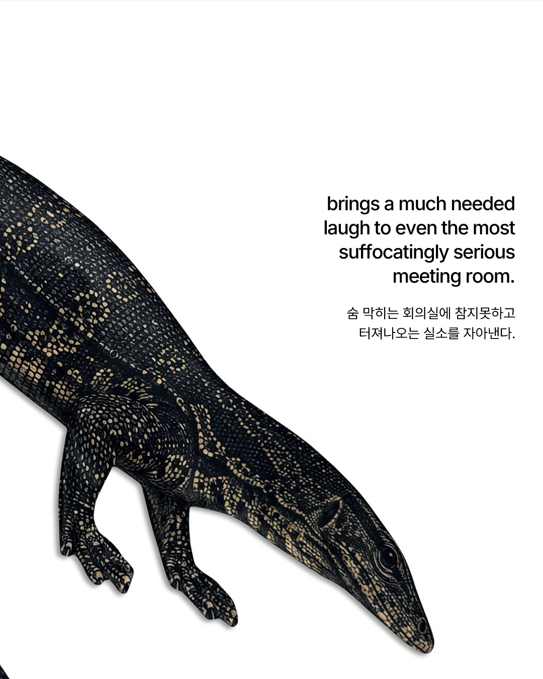 회의실 안, 왕도마뱀 출몰 주의 — Look 4