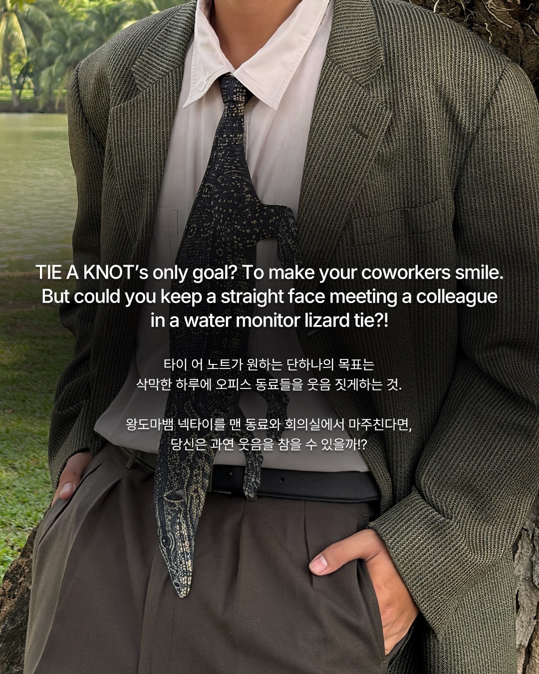 회의실 안, 왕도마뱀 출몰 주의 — Look 7