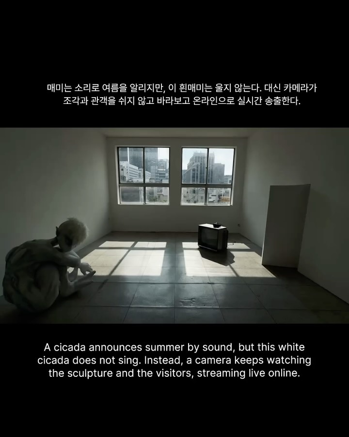 울지 않는 흰매미를 만든 작가, 코에시 — koesy, Look 6