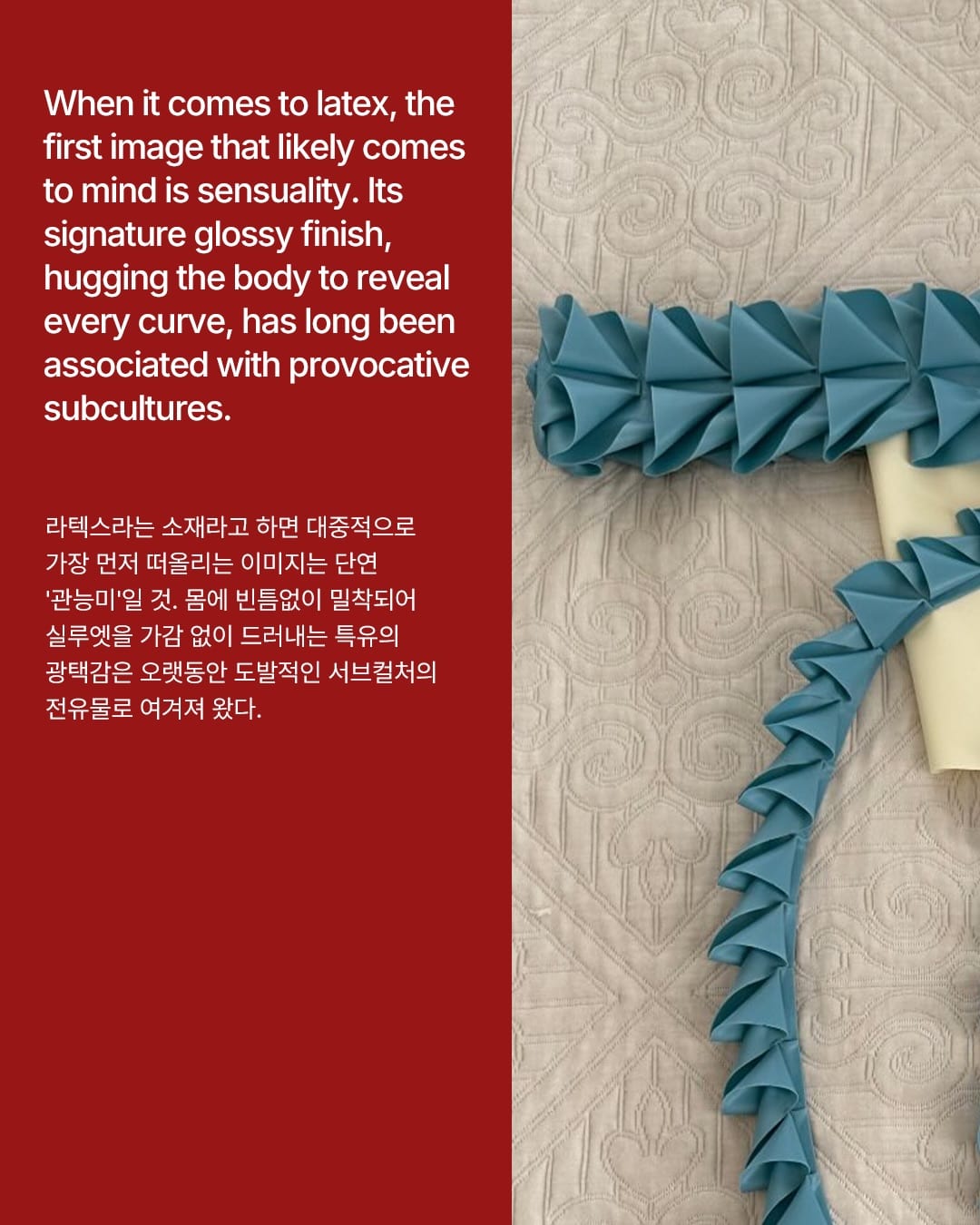 라텍스에 꽂힌 러플과 꽃, 관능은 여기 없다 — latex, Look 2