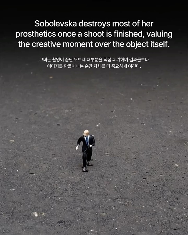아름다움과 공포 사이, 알로나 소볼레브스카의 비주얼 아트 — Look 6