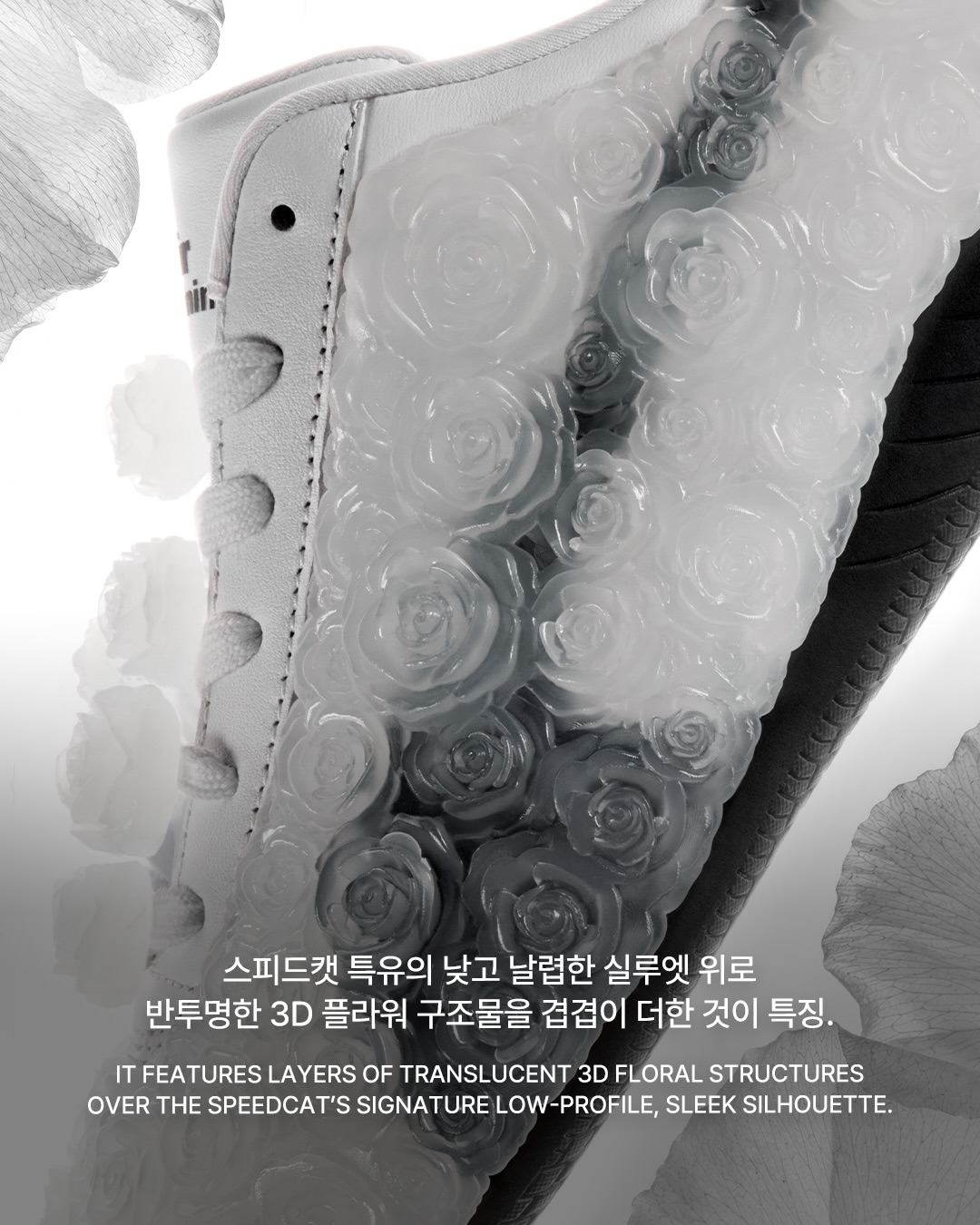 스피드캣 위에 핀 니노미야의 꽃 — Look 6