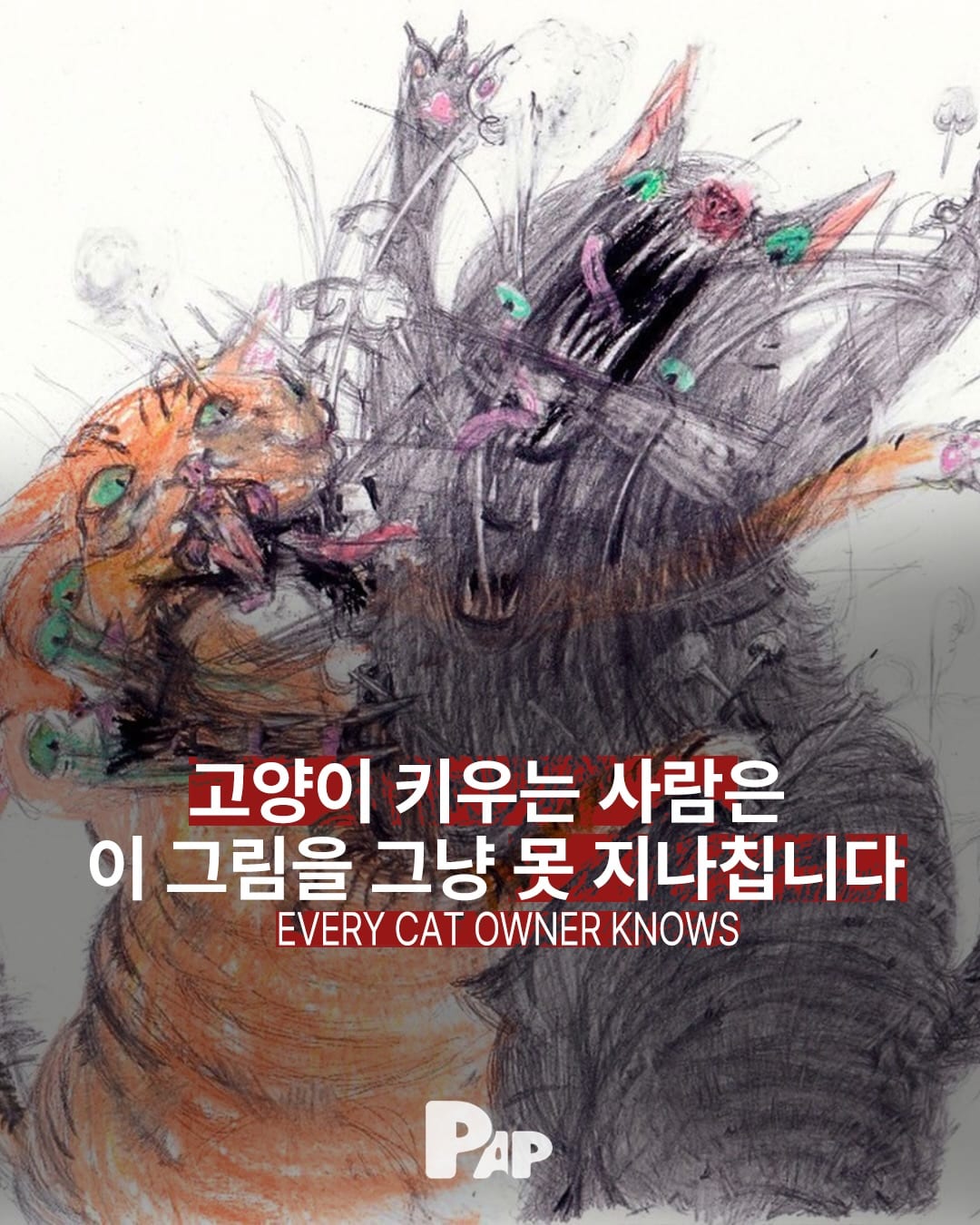 말도 안 되는 고양이 자세, 그림으로 완벽히 포착하다 — Cover
