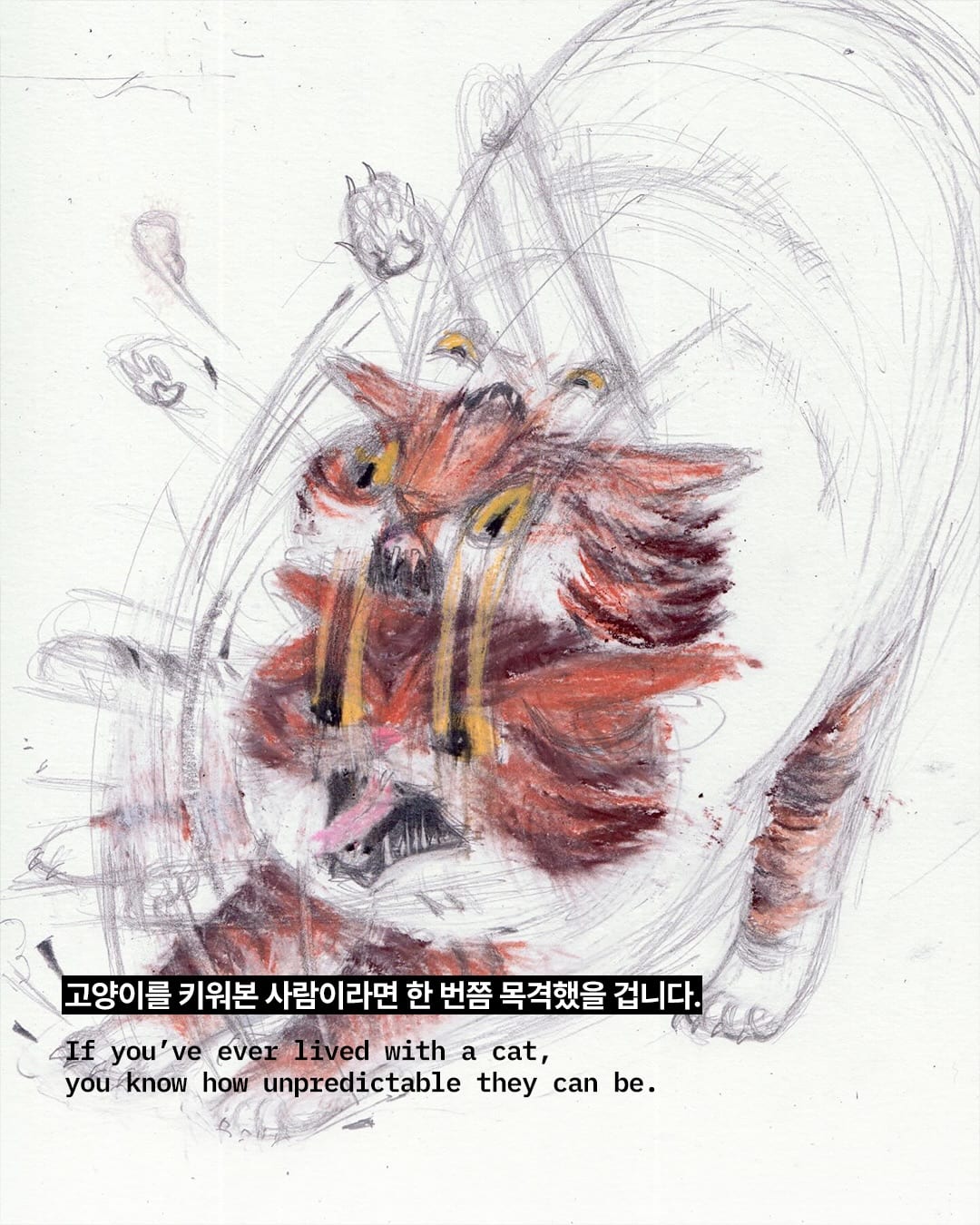 말도 안 되는 고양이 자세, 그림으로 완벽히 포착하다 — cat, Look 2