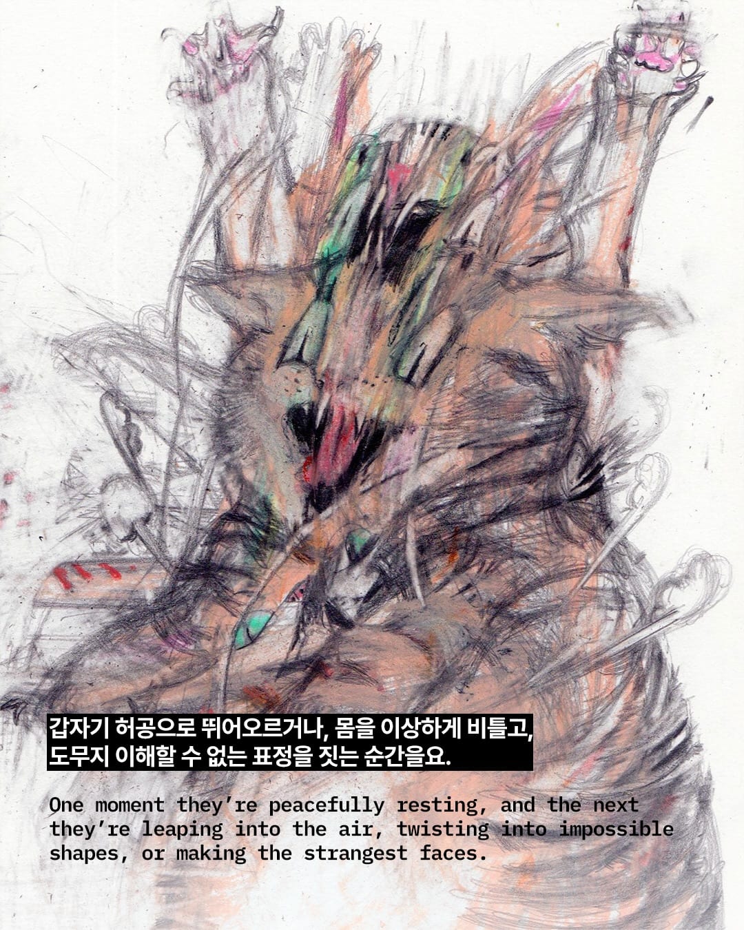 말도 안 되는 고양이 자세, 그림으로 완벽히 포착하다 — cat, Look 3