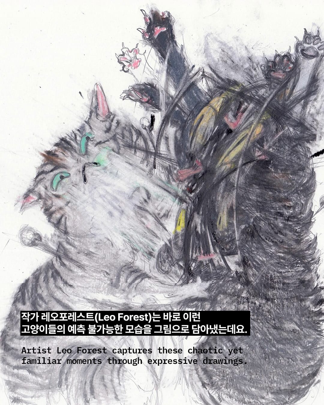 말도 안 되는 고양이 자세, 그림으로 완벽히 포착하다 — cat, Look 4