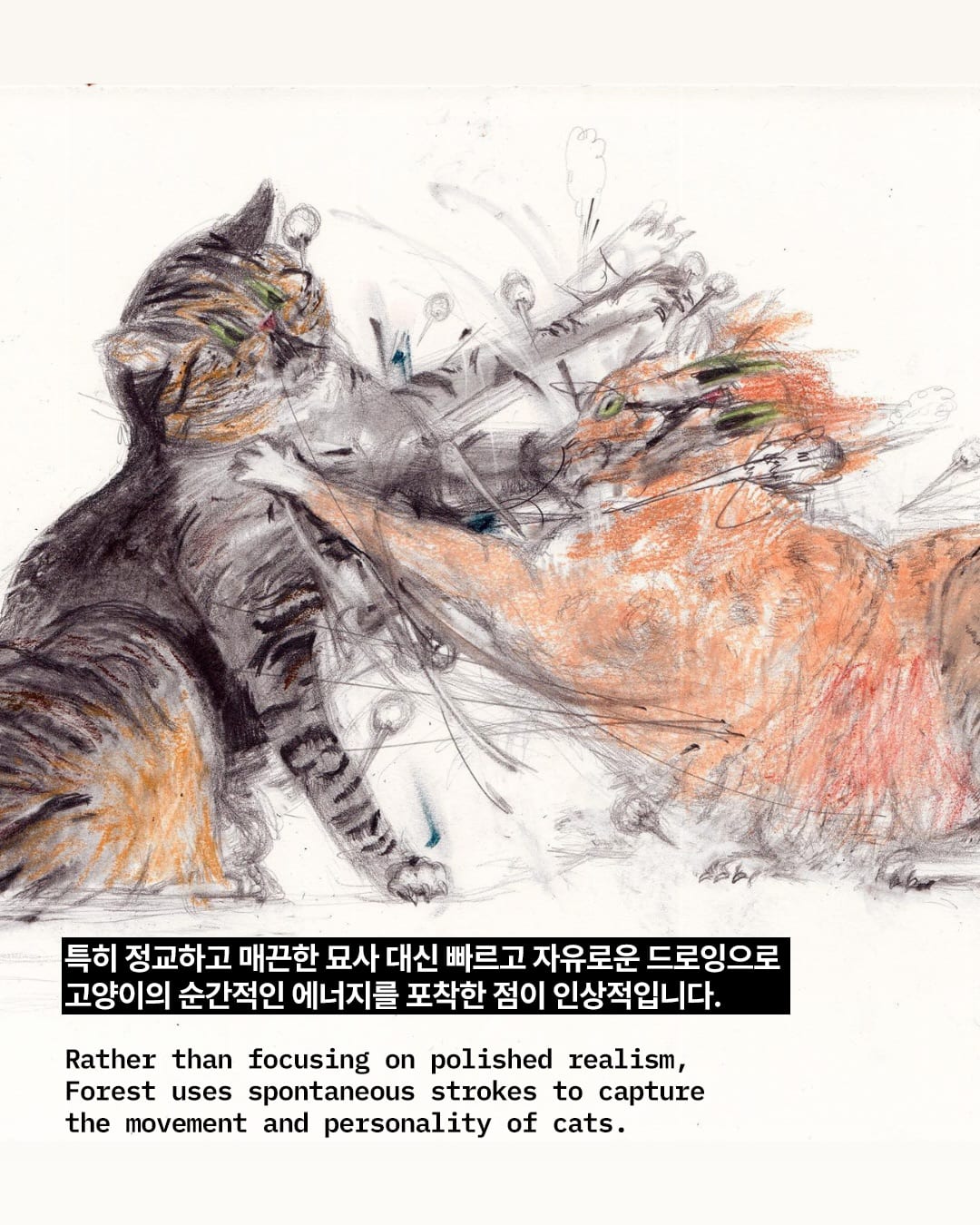 말도 안 되는 고양이 자세, 그림으로 완벽히 포착하다 — cat, Look 5