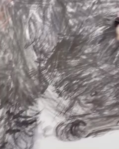 말도 안 되는 고양이 자세, 그림으로 완벽히 포착하다 — cat, Look 6