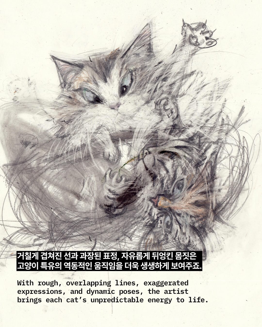 말도 안 되는 고양이 자세, 그림으로 완벽히 포착하다 — cat, Look 7