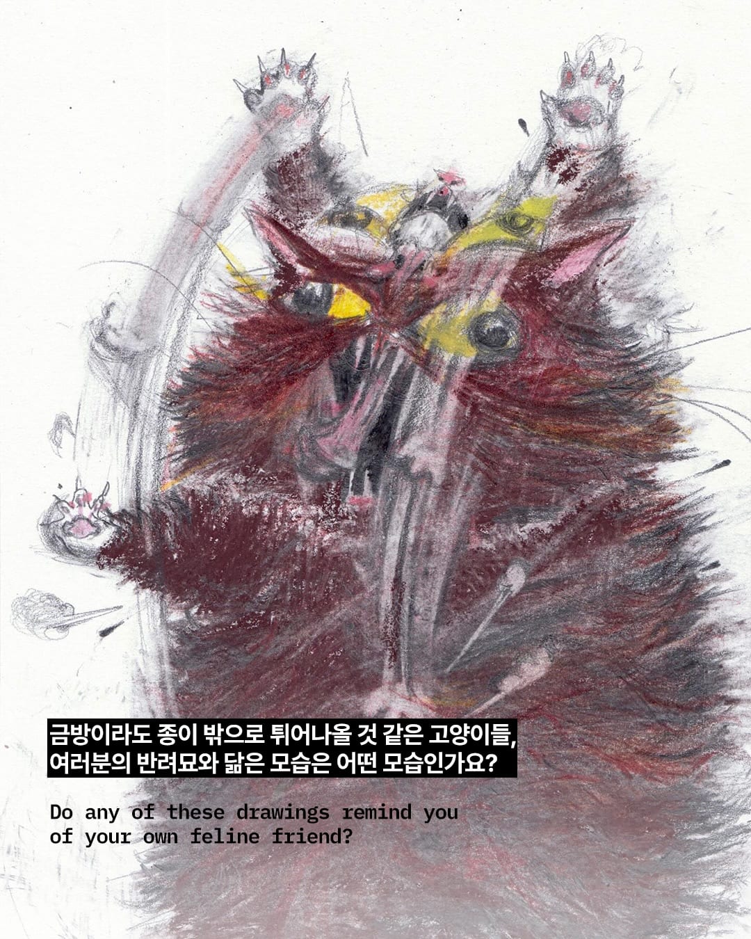 말도 안 되는 고양이 자세, 그림으로 완벽히 포착하다 — cat, Look 8