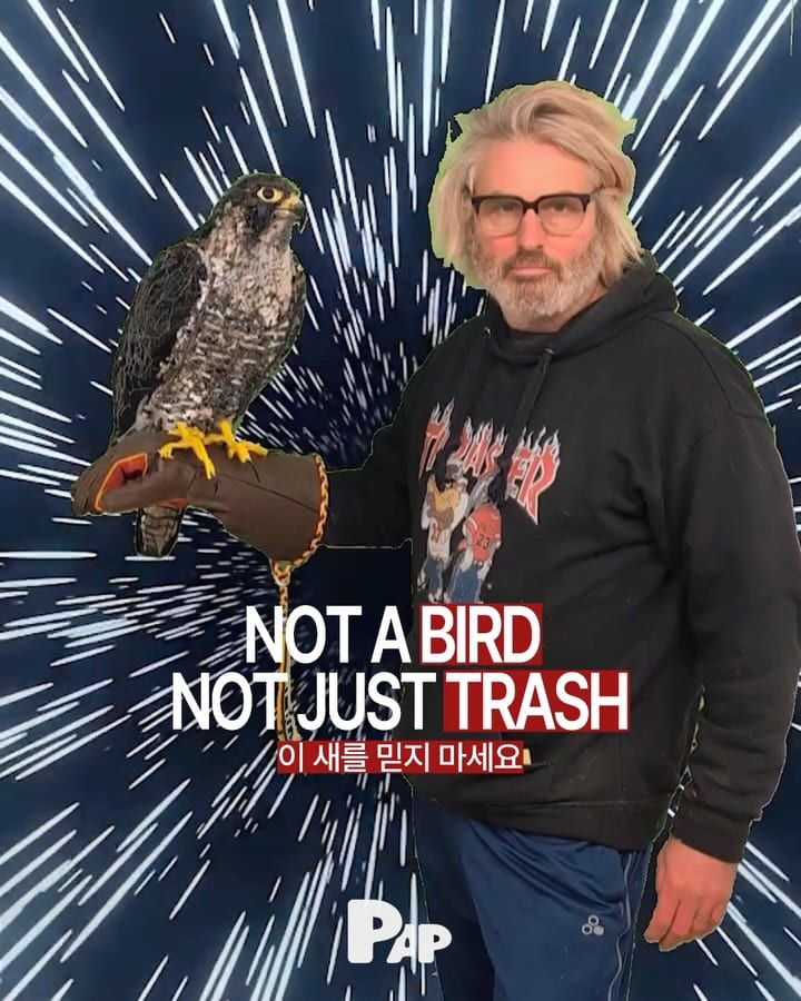 Pas un oiseau, juste des déchets : tout est une question d'angle — Cover