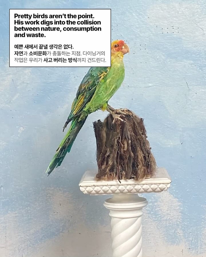 새가 아니라 쓰레기, 보는 각도가 전부다 — thomas deininger, Look 7