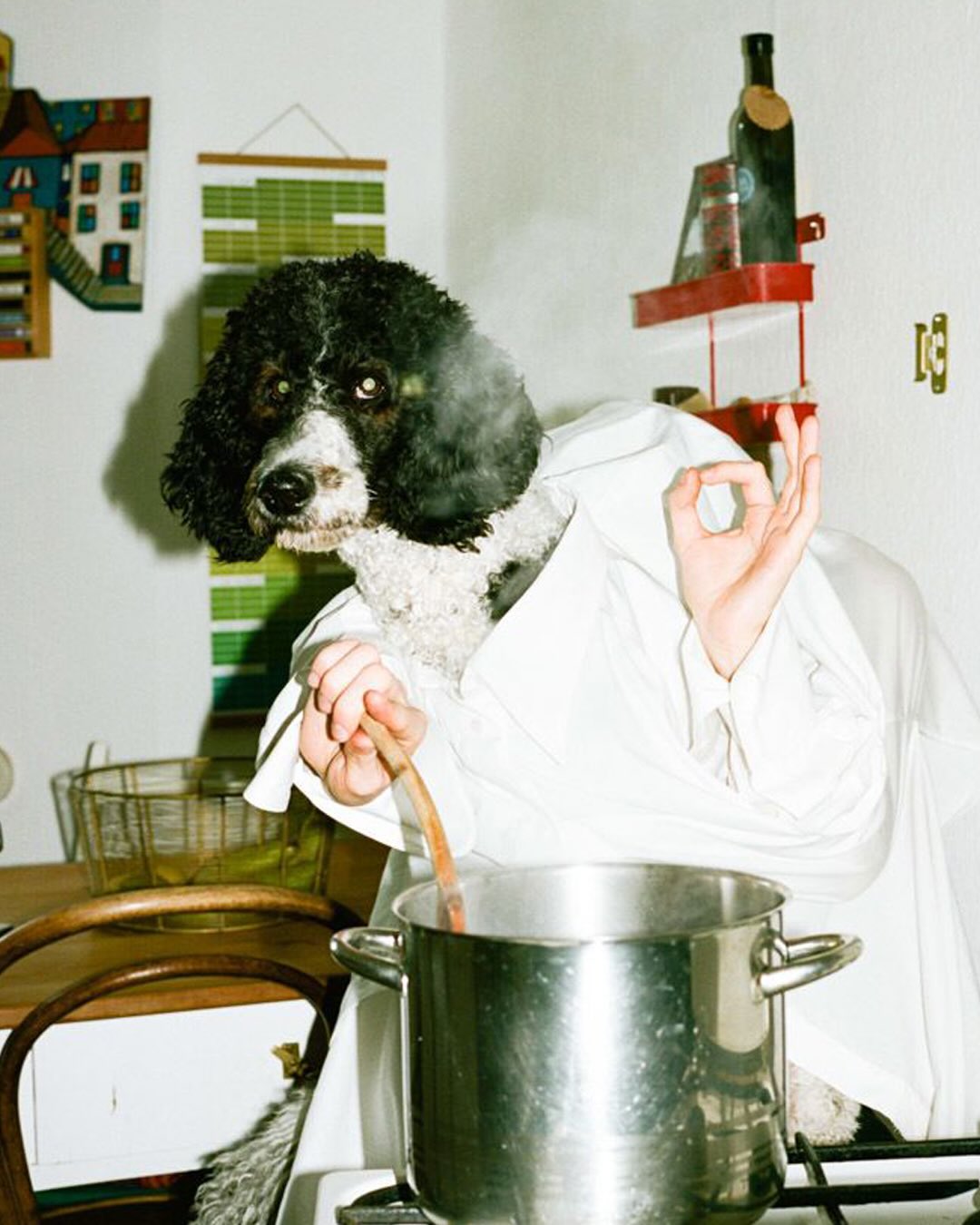 황당함과 에로티시즘 사이, Koekkoek의 초현실 일상 — Look 4