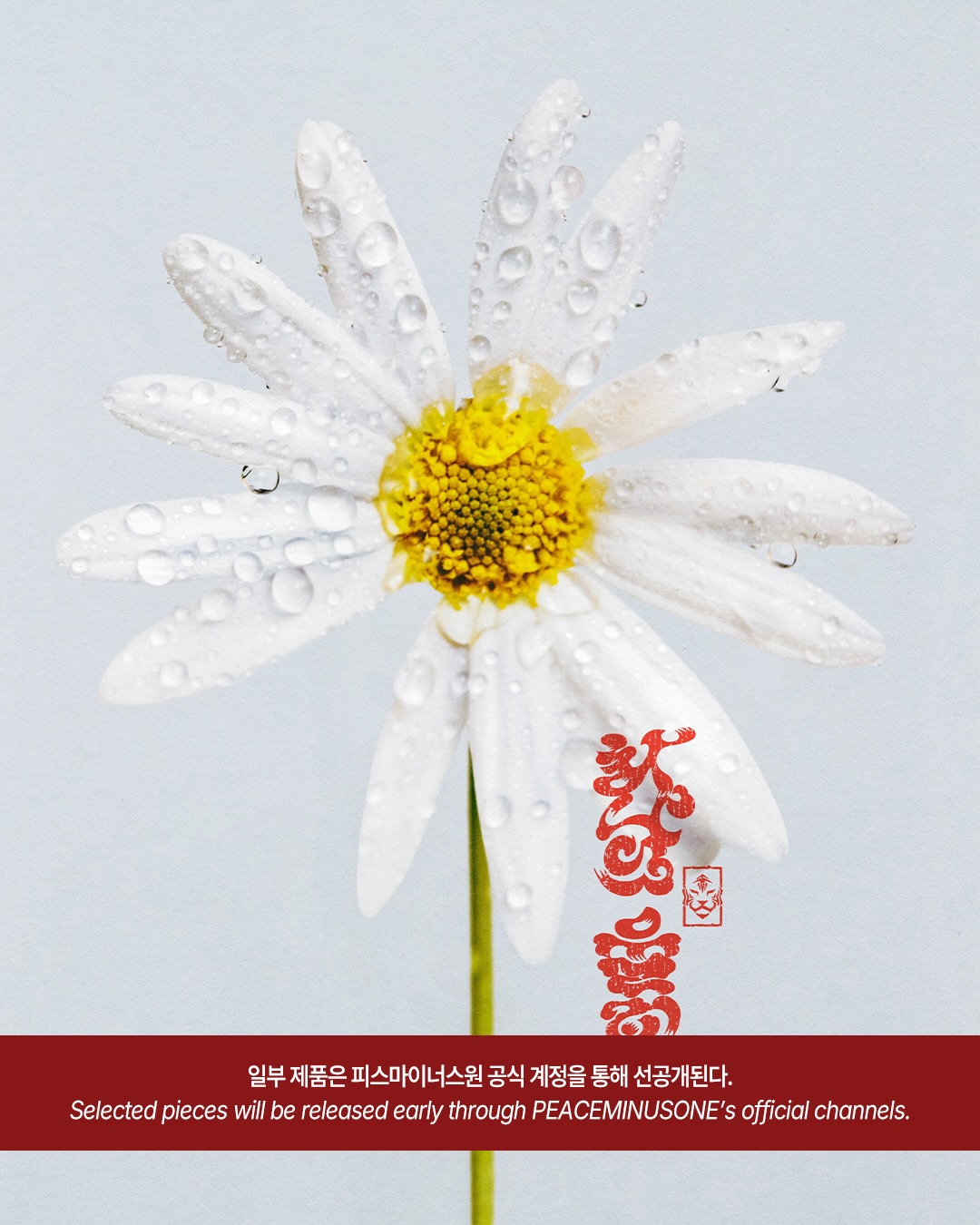 지드래곤·카리나·황희찬이 한자리에, 피스마이너스원 × 나이키 'The Tigers of Asia' 공개 — Look 7