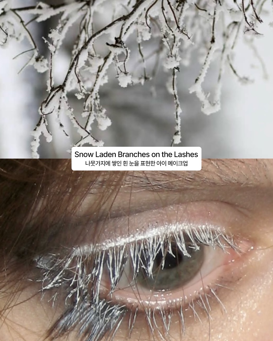 얼굴 위의 미시 생태계, 키라 루이의 자연 영감 메이크업 — kyra lui, Look 8
