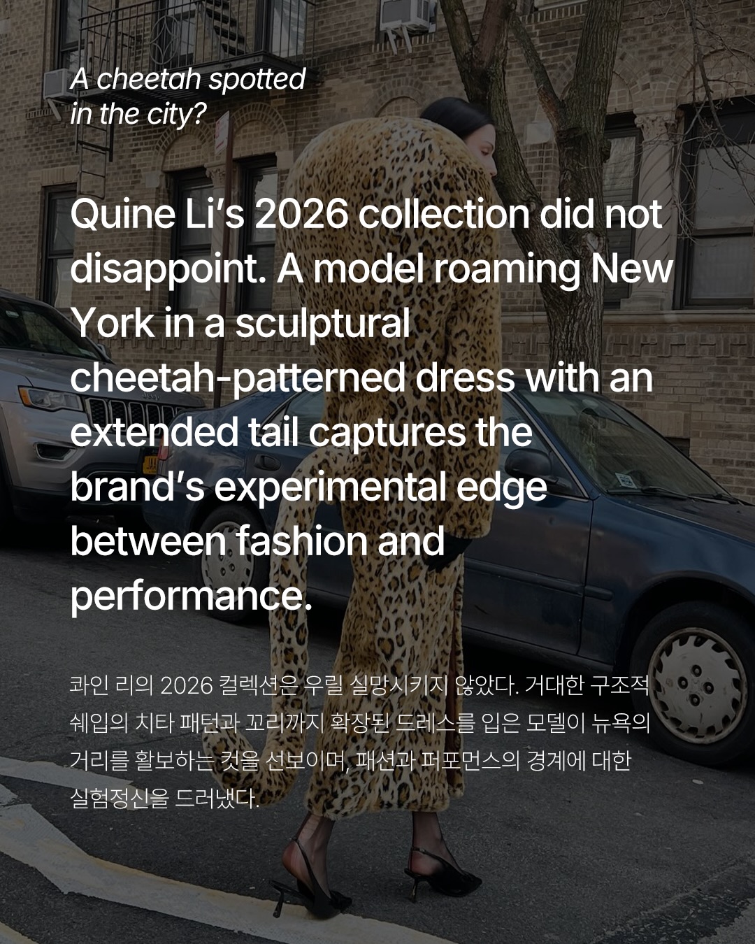 도심 속 치타, 퀸 리의 애니멀 프린트 스타일링 — Look 2