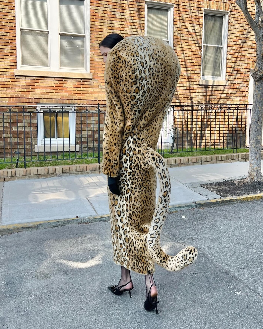 도심 속 치타, 퀸 리의 애니멀 프린트 스타일링 — Look 5