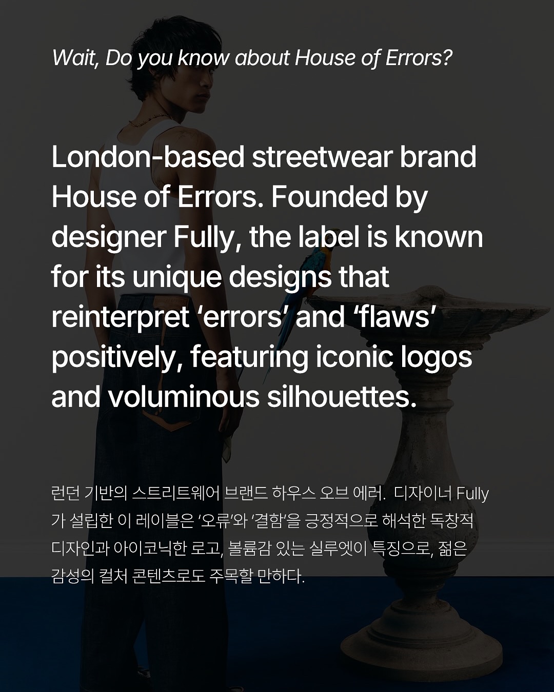 하우스 오브 에러, 결함을 아이덴티티로 삼다 — Look 2