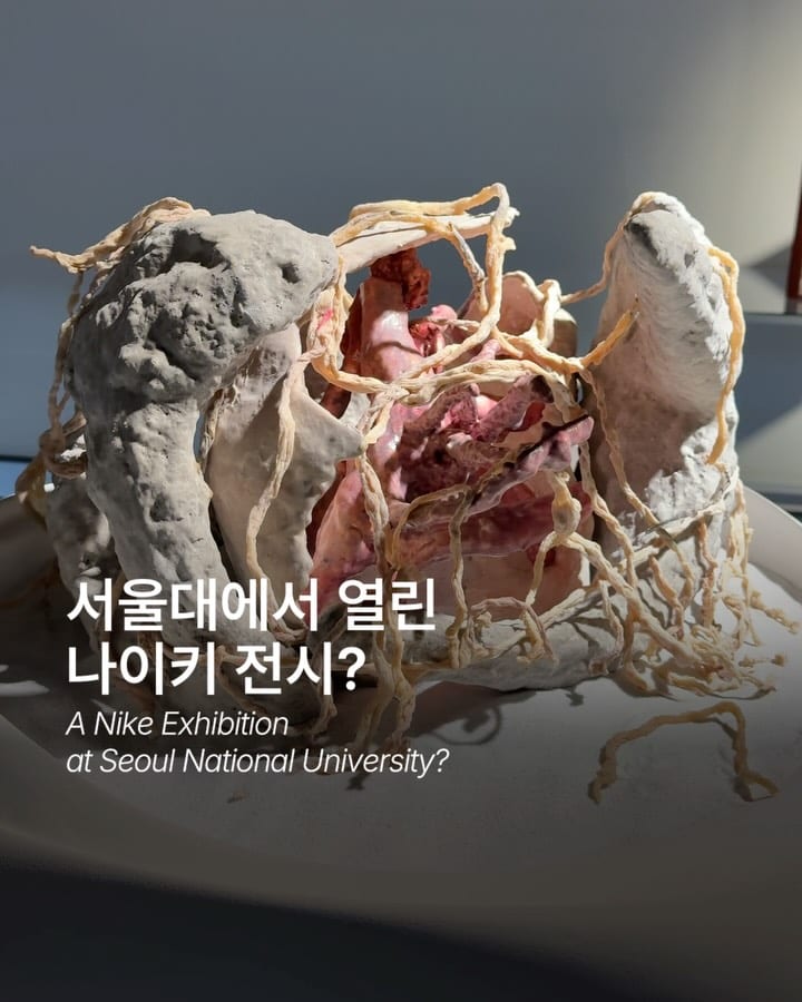 When Process Outshines Perfection: Nike's Moon Shoe Exhibition — Cover