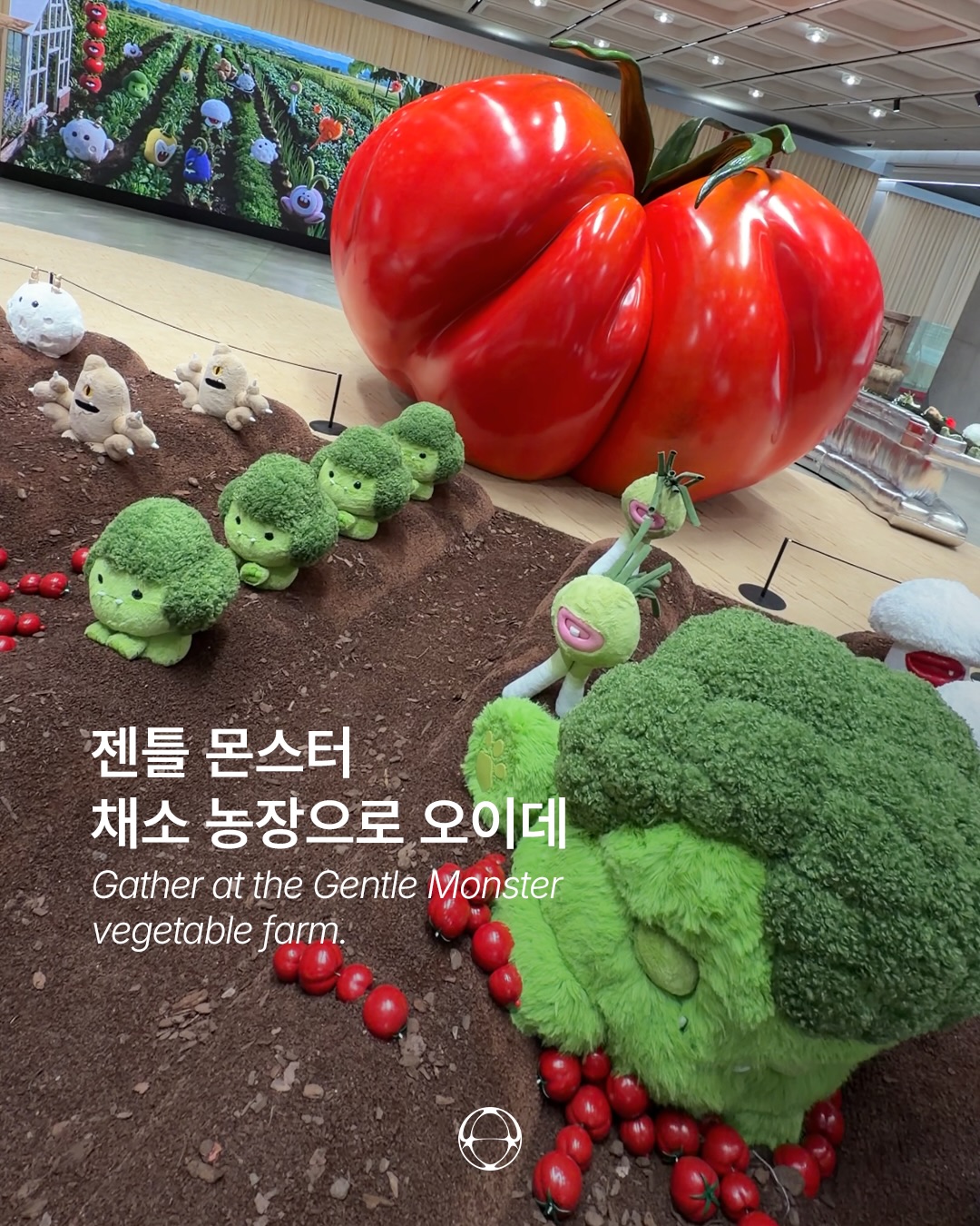 젠틀몬스터, 2026 베지 컬렉션 팝업 농장 오픈 — Cover