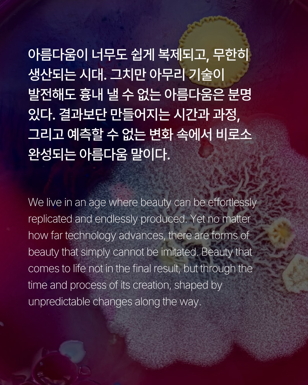 예측 불가함에서 탄생하는 아름다움 — Look 2