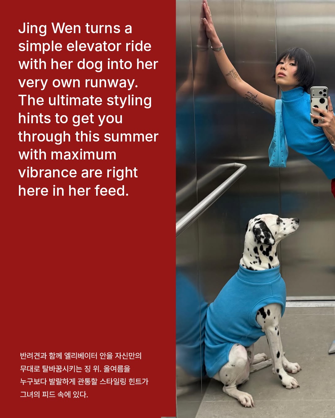 비비드 컬러를 마스터하는 법, 징 원의 여름 팔레트 — Look 2