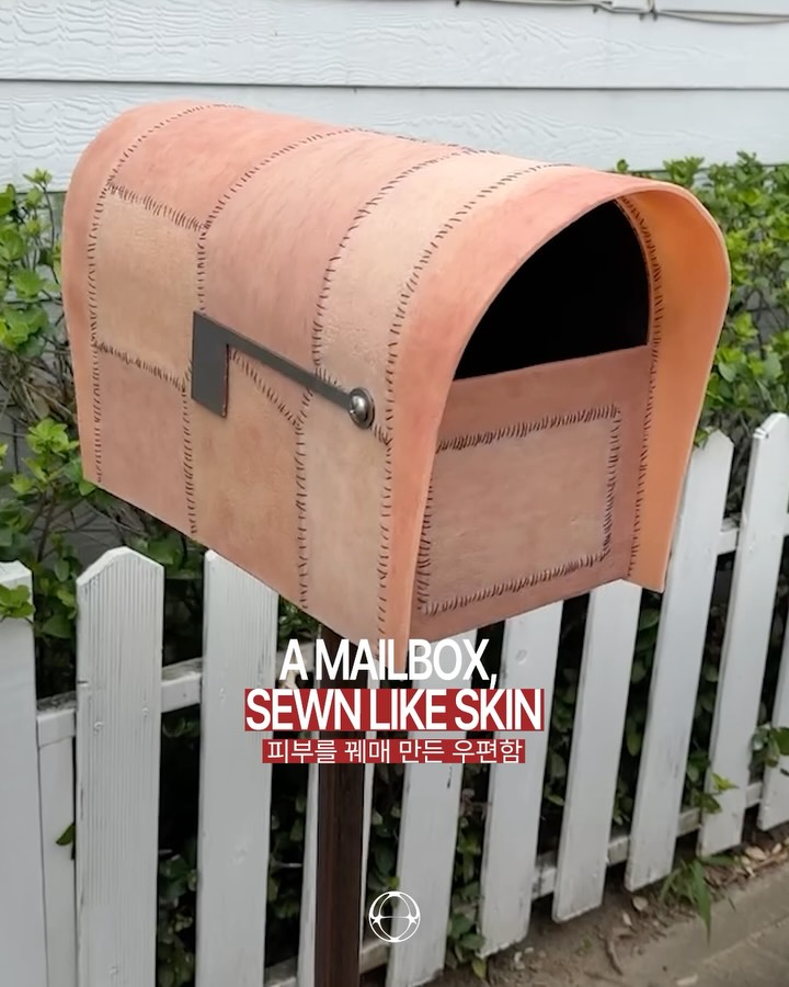 Una cassetta postale cucita come pelle — Cover