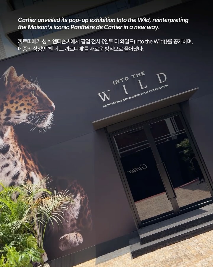 까르띠에, 성수에서 '인투 더 와일드' 팝업 전시 공개 — Look 2