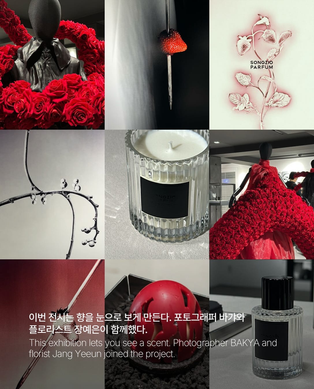 송지오가 만든 첫 향수, 갤러리 느와에서 두 달간 — songzio, Look 4