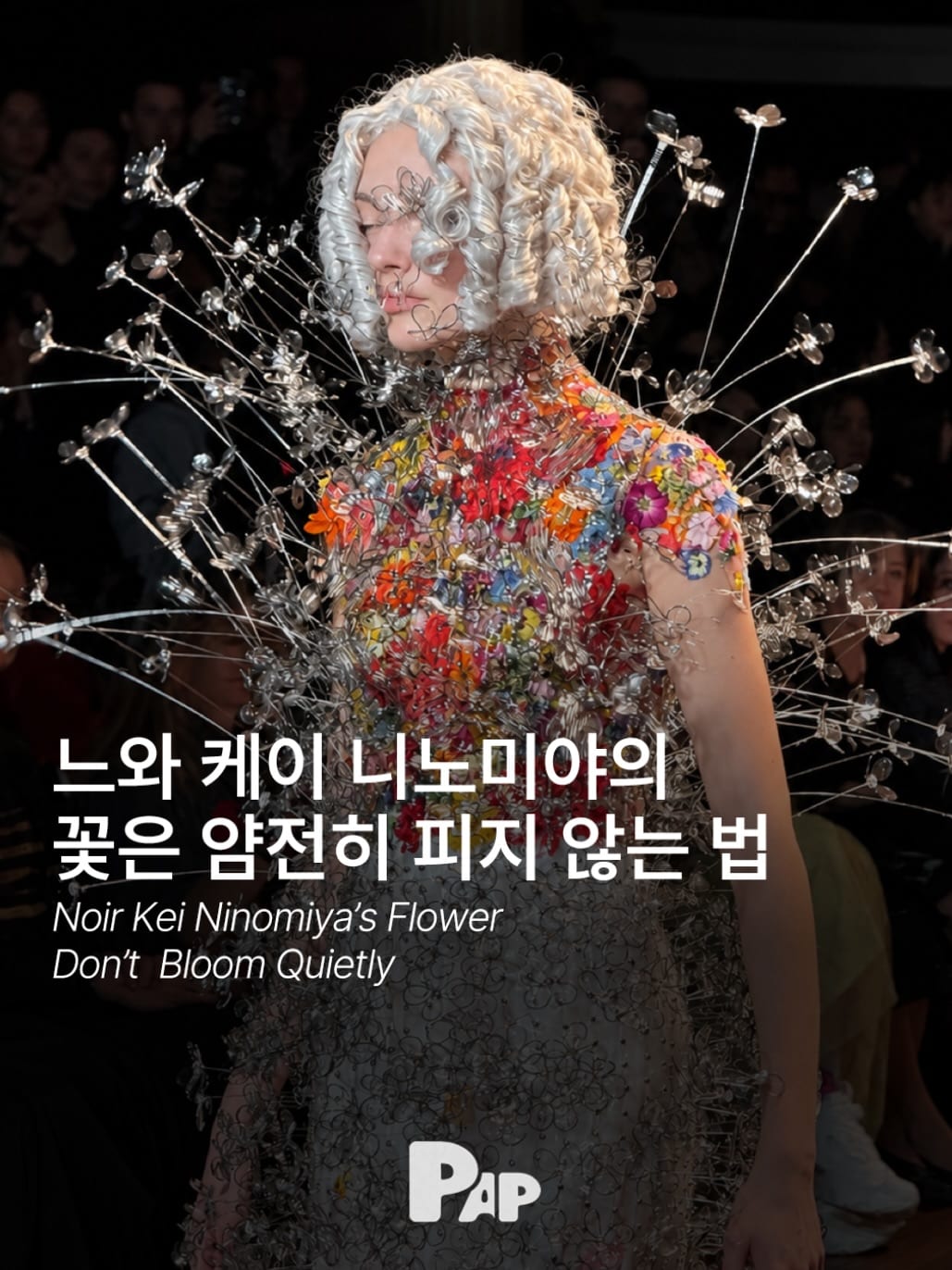 느와 케이 니노미야의 꽃은 암전히 피지 않는 법 — Cover