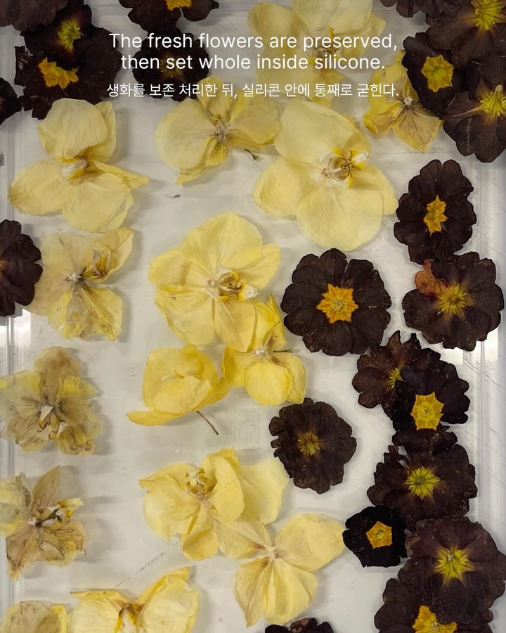 생화를 실리콘에 가둔 투명한 옷 — enzo keuning, Look 4