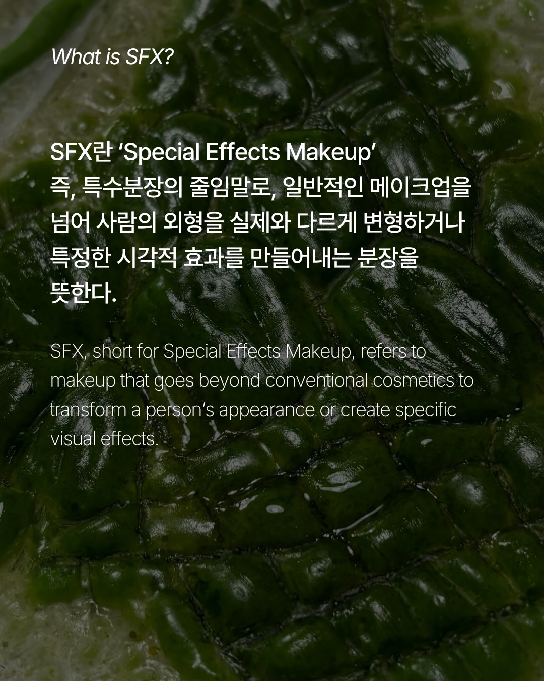 마법처럼 사실적인 SFX 메이크업의 경계 — Look 2