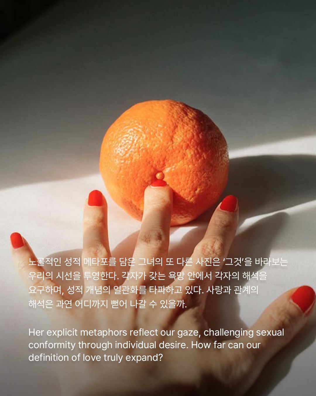 사랑은 궤적이 아니라 실험이다 — Look 7