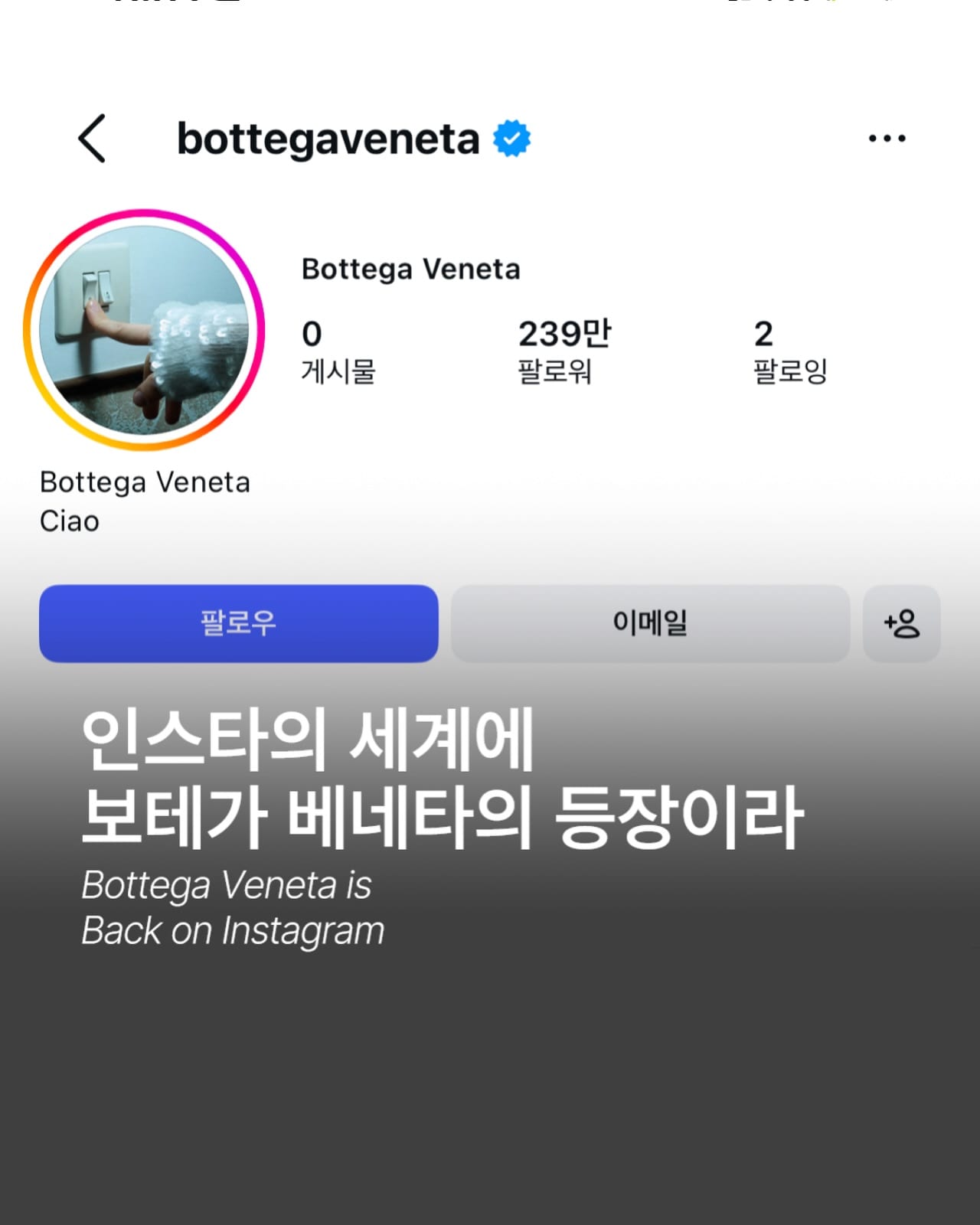 Bottega Veneta Returns to Instagram After 5 Years — Cover