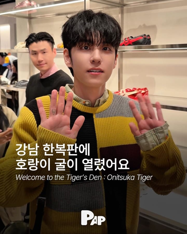 Le tigre débarque à Gangnam avec six célébrités — Cover