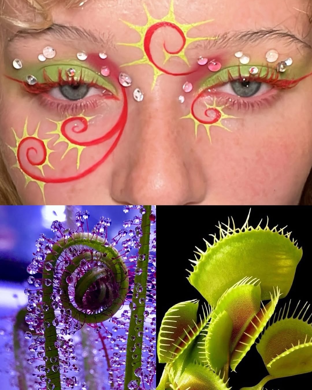 자연을 얼굴에 담는 메이크업 아티스트, 사르 투르누스 — Look 2