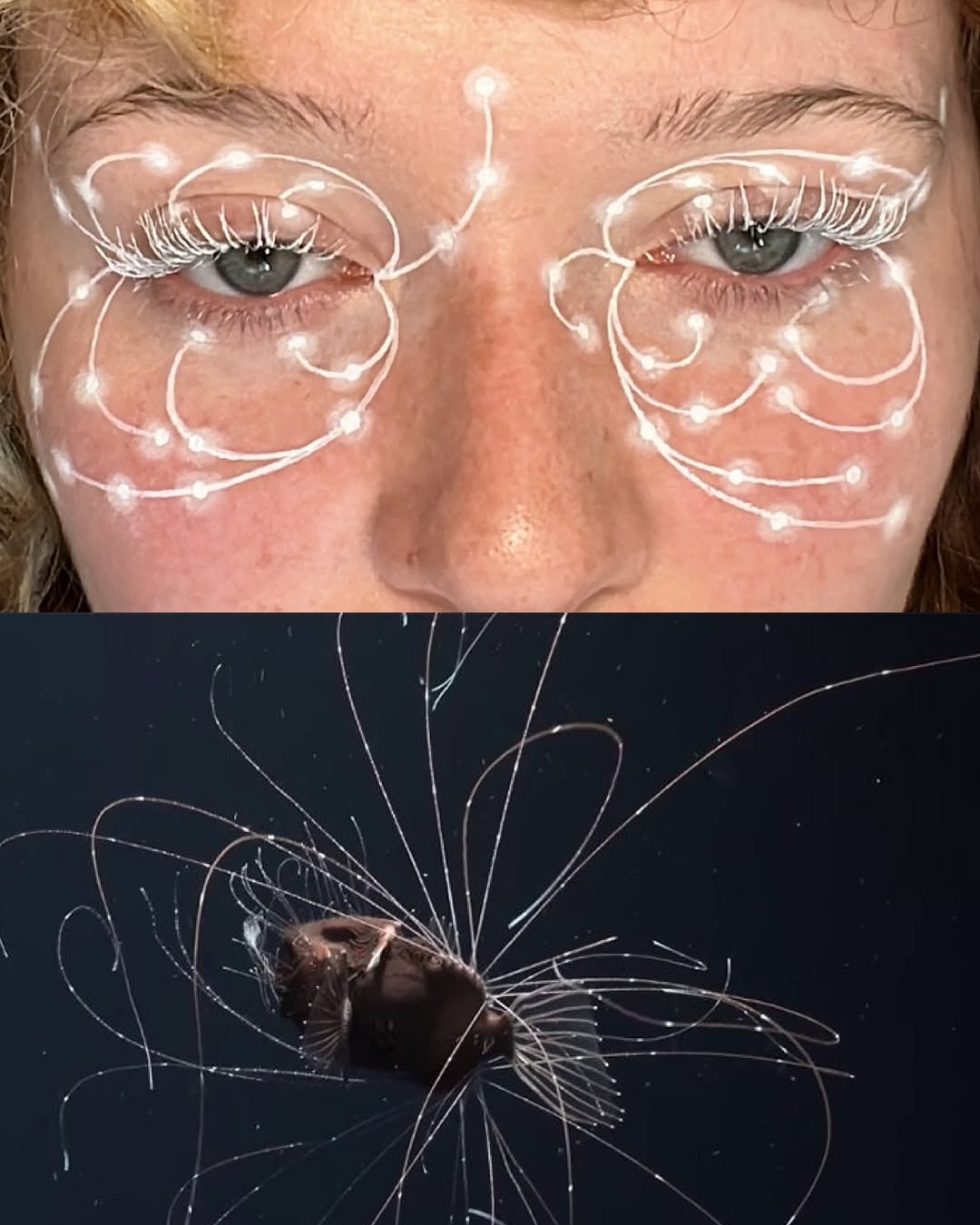자연을 얼굴에 담는 메이크업 아티스트, 사르 투르누스 — Look 4