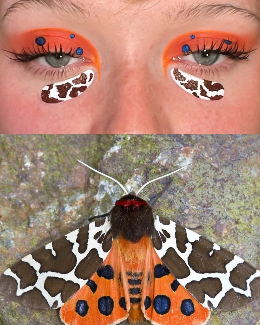 자연을 얼굴에 담는 메이크업 아티스트, 사르 투르누스 — Look 6