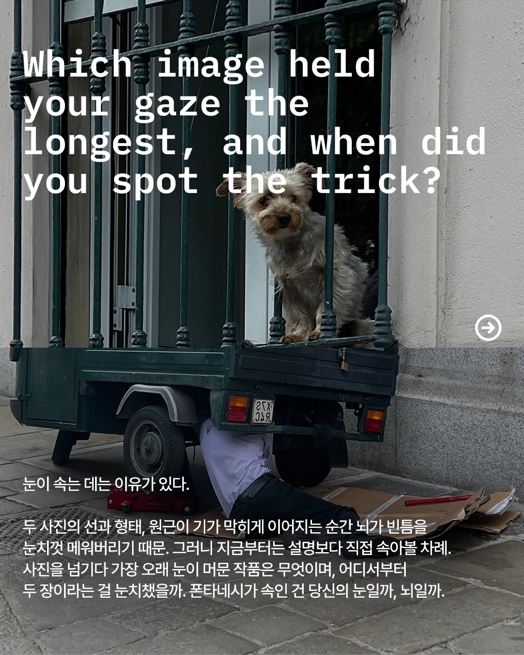 두 장의 사진 속 하나의 착각 — Look 5